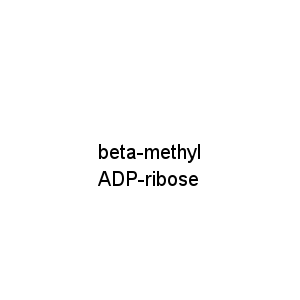 beta-methyl ADP-ribose